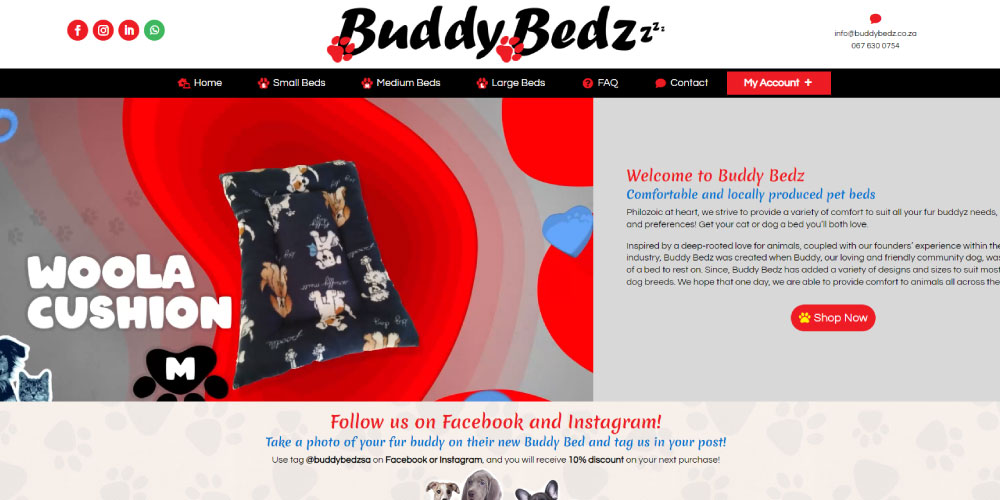Buddy Bedz